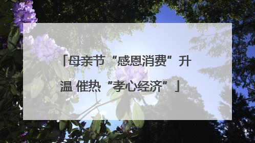 母亲节“感恩消费”升温 催热“孝心经济”