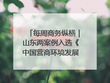 每周商务纵横｜山东两案例入选《中国营商环境发展报告（2025）》；山东外贸优品购物季进机关活动在济南举办