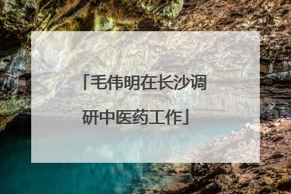 毛伟明在长沙调研中医药工作