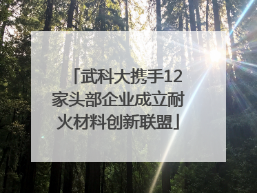 武科大携手12家头部企业成立耐火材料创新联盟