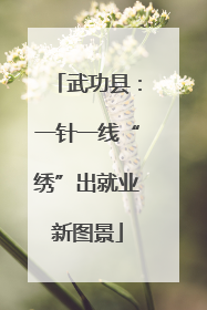 武功县：一针一线“绣”出就业新图景