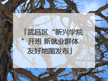 武昌区“新兴学院”开班 新就业群体友好地图发布
