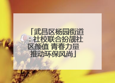 武昌区杨园街道：社校联合扮靓社区颜值 青春力量推动环保风尚