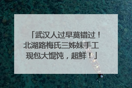 武汉人过早莫错过！北湖路梅氏三姊妹手工现包大馄饨，超鲜！