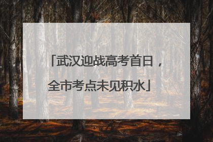 武汉迎战高考首日，全市考点未见积水