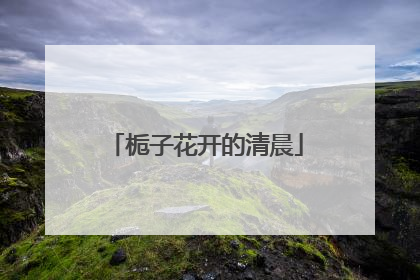 栀子花开的清晨