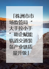 株洲市市场监管局“大手拉小手”助企赋能轨道交通装备产业链质量升级