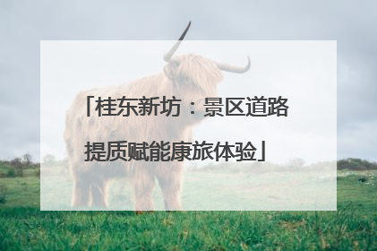 桂东新坊：景区道路提质赋能康旅体验