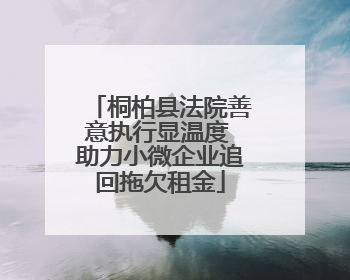 桐柏县法院善意执行显温度 助力小微企业追回拖欠租金