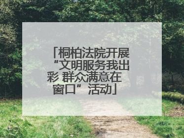 桐柏法院开展“文明服务我出彩 群众满意在窗口”活动
