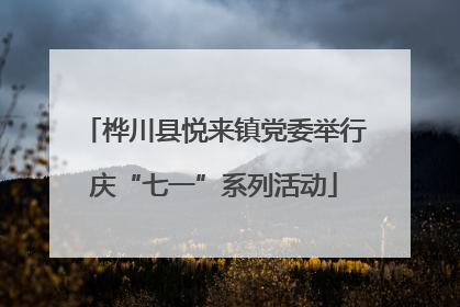 桦川县悦来镇党委举行庆“七一”系列活动