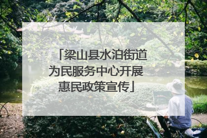梁山县水泊街道为民服务中心开展惠民政策宣传