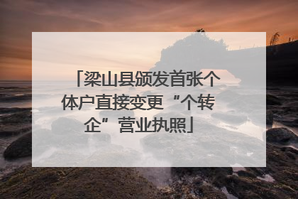 梁山县颁发首张个体户直接变更“个转企”营业执照