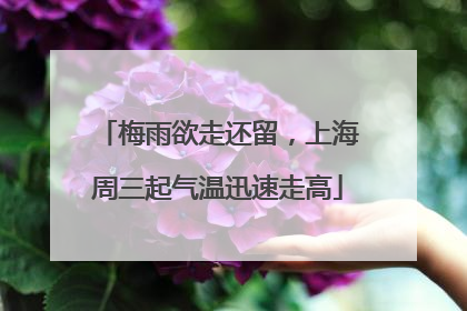 梅雨欲走还留，上海周三起气温迅速走高