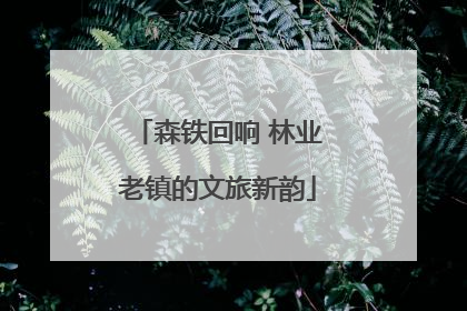 森铁回响 林业老镇的文旅新韵