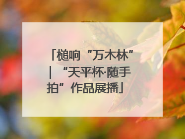 槌响“万木林”｜“天平杯·随手拍”作品展播