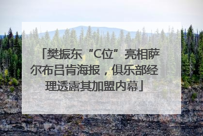 樊振东“C位”亮相萨尔布吕肯海报，俱乐部经理透露其加盟内幕