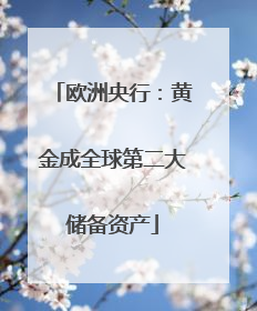 欧洲央行：黄金成全球第二大储备资产