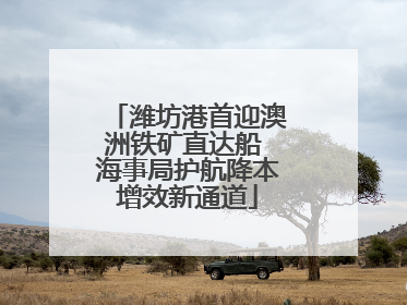 潍坊港首迎澳洲铁矿直达船 海事局护航降本增效新通道