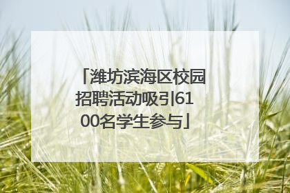 潍坊滨海区校园招聘活动吸引6100名学生参与