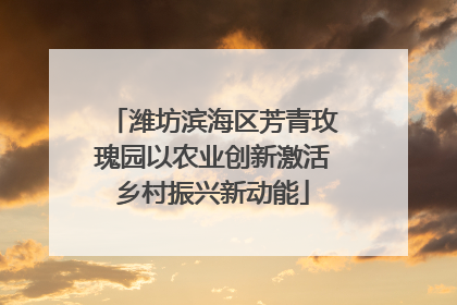 潍坊滨海区芳青玫瑰园以农业创新激活乡村振兴新动能