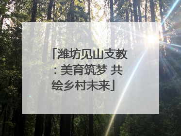 潍坊见山支教：美育筑梦 共绘乡村未来