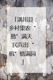 潢川县：乡村果农“愁”满天  民兵出“机”情满园