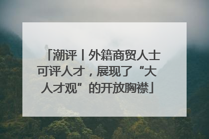 潮评丨外籍商贸人士可评人才，展现了“大人才观”的开放胸襟