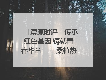 澧源时评｜传承红色基因 铸就青春华章——桑植热土上的青春长征