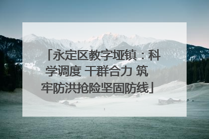 永定区教字垭镇：科学调度 干群合力 筑牢防洪抢险坚固防线