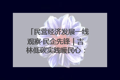民营经济发展一线观察·民企先锋｜吉林低碳实践暖民心：太阳能供暖技术为北方清洁取暖破局