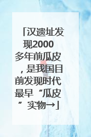 汉遗址发现2000多年前瓜皮，是我国目前发现时代最早“瓜皮”实物→