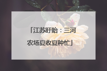 江苏盱眙：三河农场夏收夏种忙