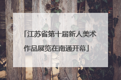 江苏省第十届新人美术作品展览在南通开幕