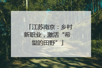 江苏南京：乡村新职业，激活“希望的田野”