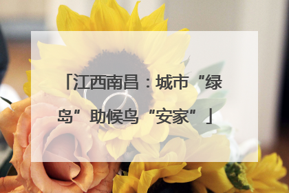 江西南昌：城市“绿岛”助候鸟“安家”