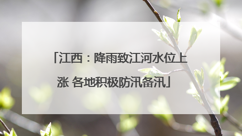 江西：降雨致江河水位上涨 各地积极防汛备汛