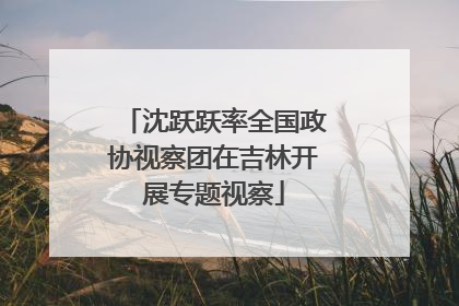 沈跃跃率全国政协视察团在吉林开展专题视察