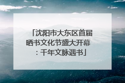 沈阳市大东区首届晒书文化节盛大开幕：千年文脉遇书