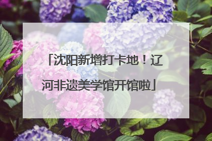 沈阳新增打卡地！辽河非遗美学馆开馆啦