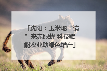 沈阳：玉米地“请”来赤眼蜂 科技赋能农业助绿色增产