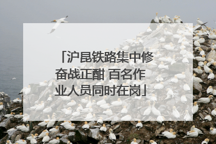 沪昆铁路集中修奋战正酣 百名作业人员同时在岗