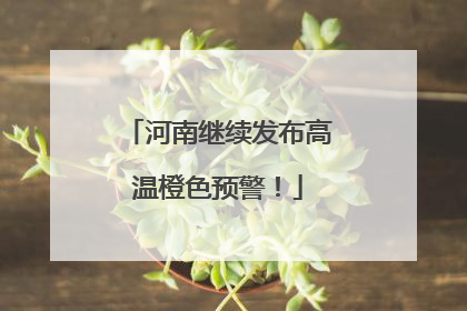 河南继续发布高温橙色预警！