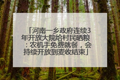 河南一乡政府连续3年开放大院给村民晒粮：农机手免费就餐，会持续开放到麦收结束