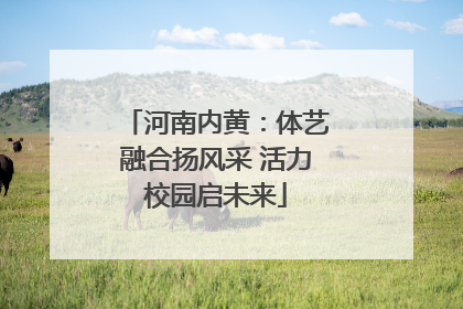 河南内黄：体艺融合扬风采 活力校园启未来