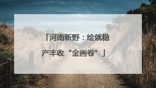 河南新野：绘就稳产丰收“金画卷”