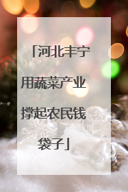 河北丰宁用蔬菜产业撑起农民钱袋子