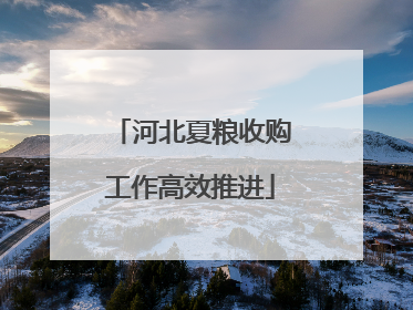 河北夏粮收购工作高效推进