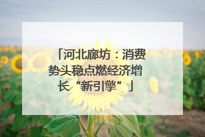河北廊坊：消费势头稳点燃经济增长“新引擎”