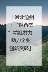 河北沧州：“组合拳”精准发力 助力企业创新突破